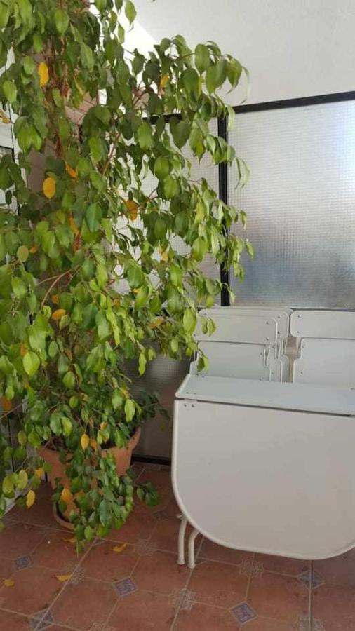 Apartament Luxe Castelar 19 Sewilla Zewnętrze zdjęcie
